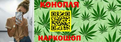 тгк Лениногорск